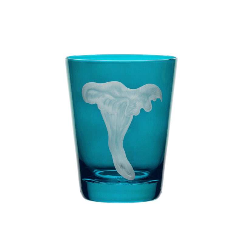 Mushrooms Chanterelle