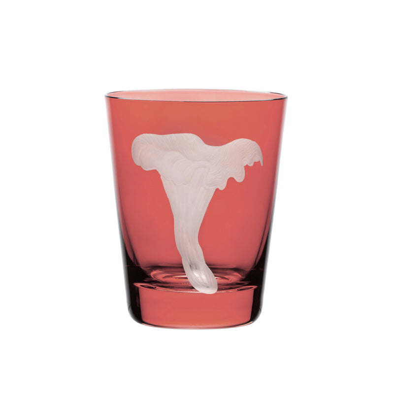 Mushrooms Chanterelle