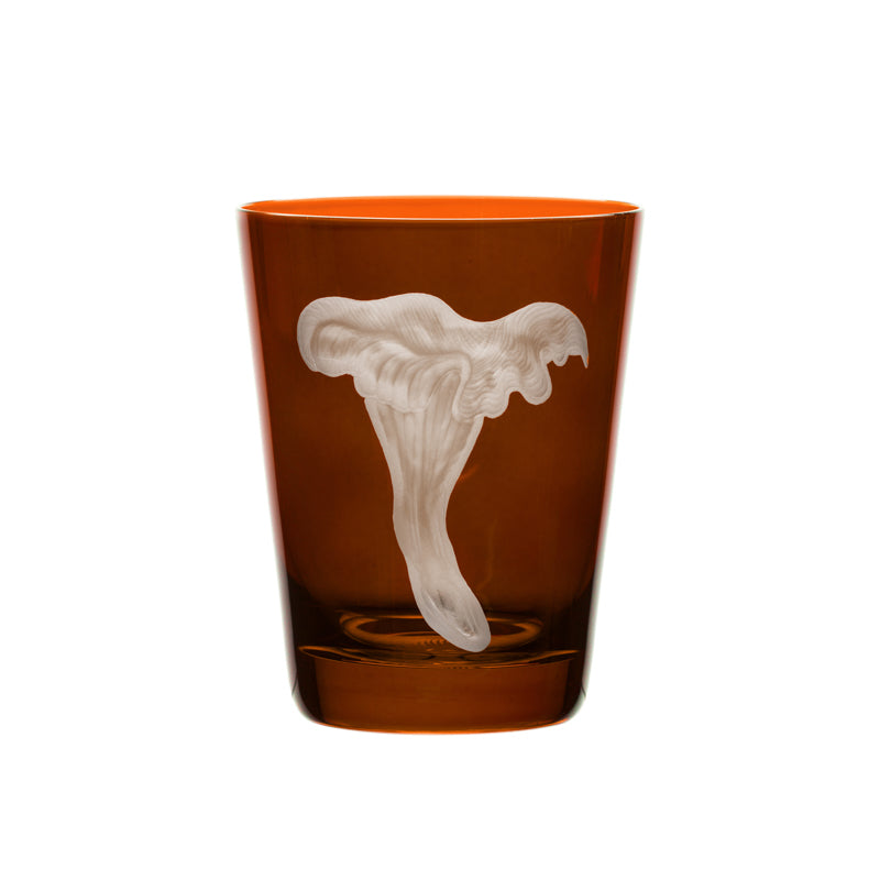 Mushrooms Chanterelle