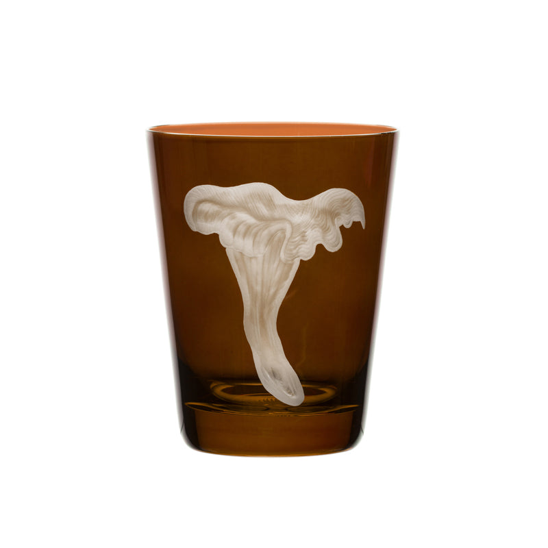 Mushrooms Chanterelle