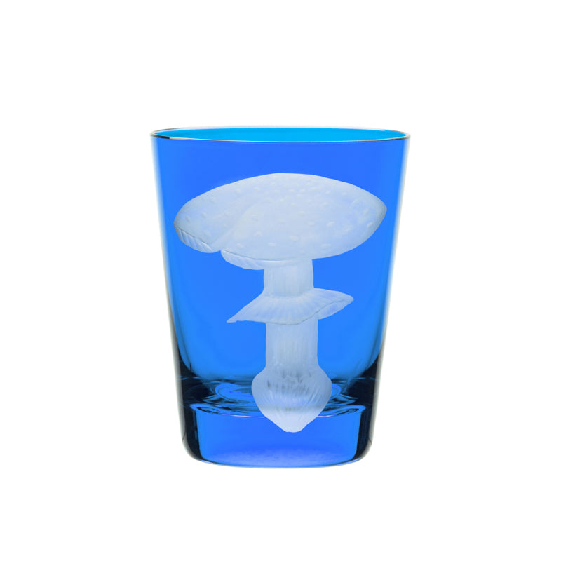 Mushrooms Fly Amanita