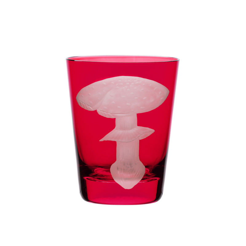 Mushrooms Fly Amanita