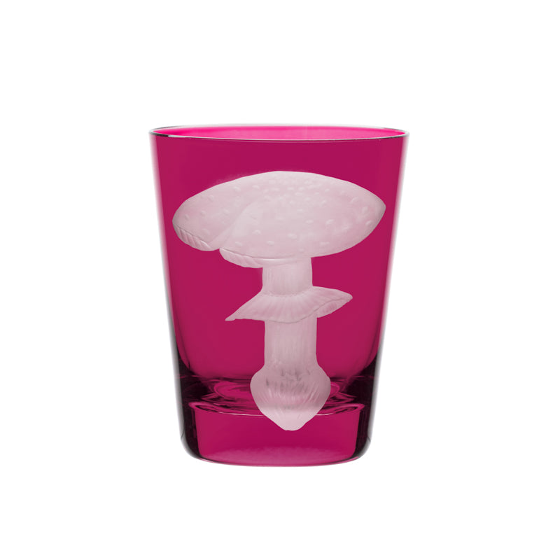 Mushrooms Fly Amanita