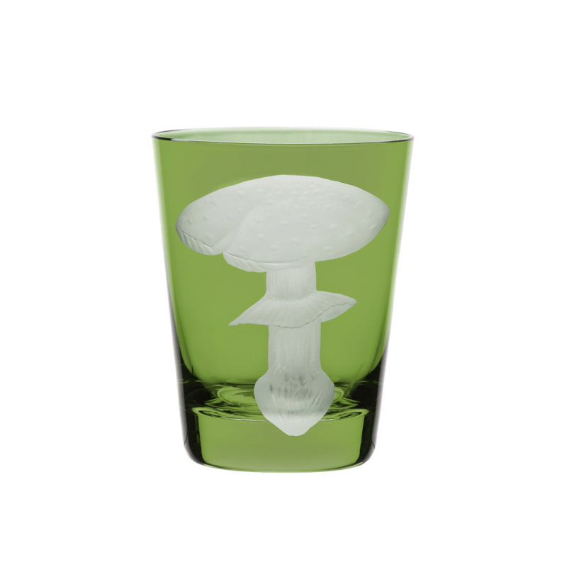 Mushrooms Fly Amanita