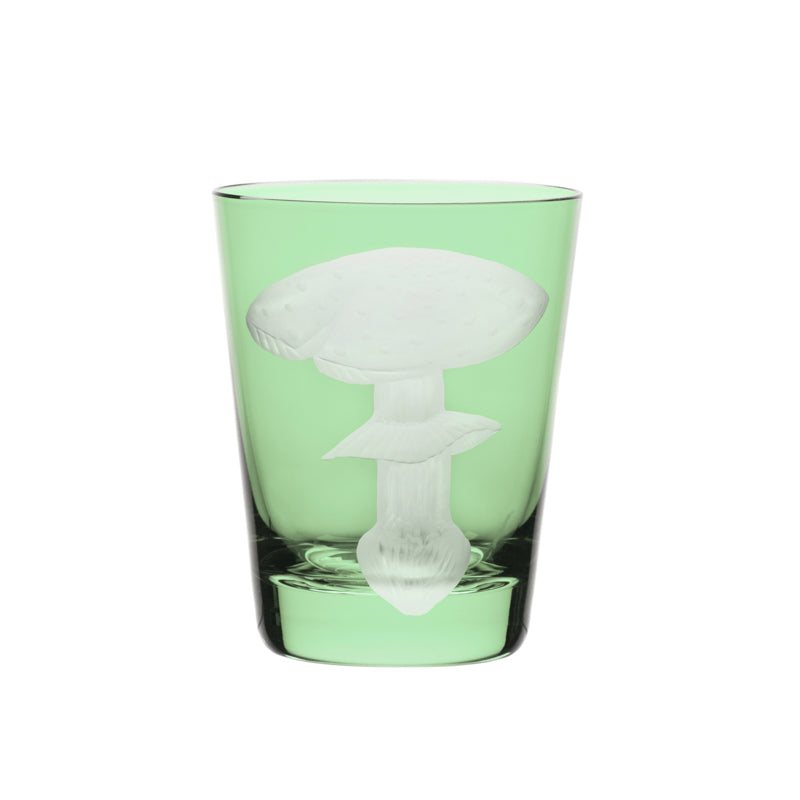 Mushrooms Fly Amanita