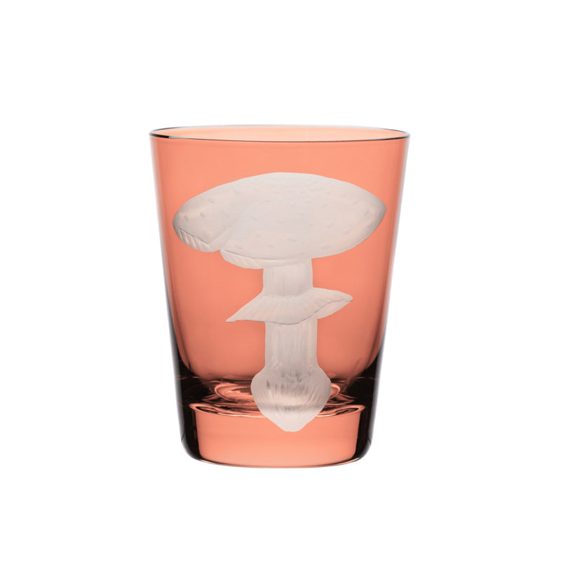 Mushrooms Fly Amanita