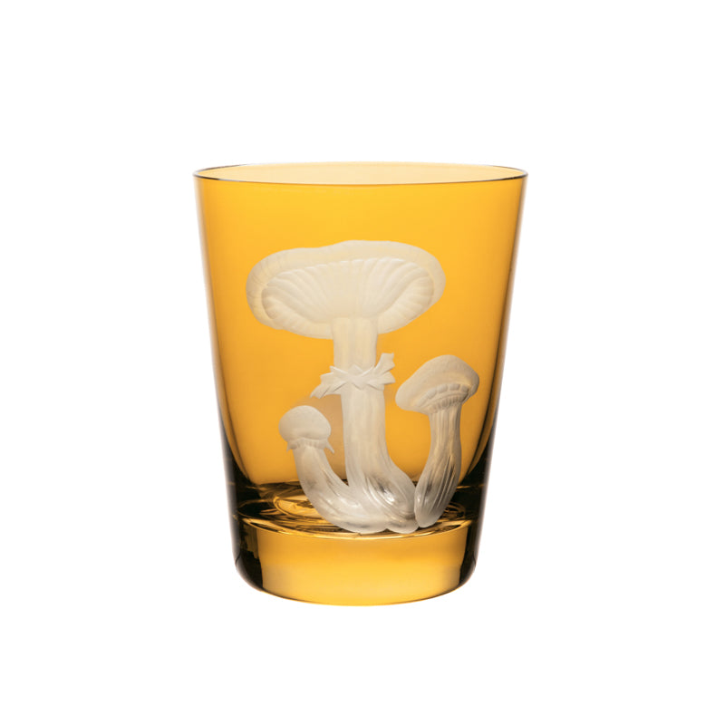 Mushrooms Honey Fungus