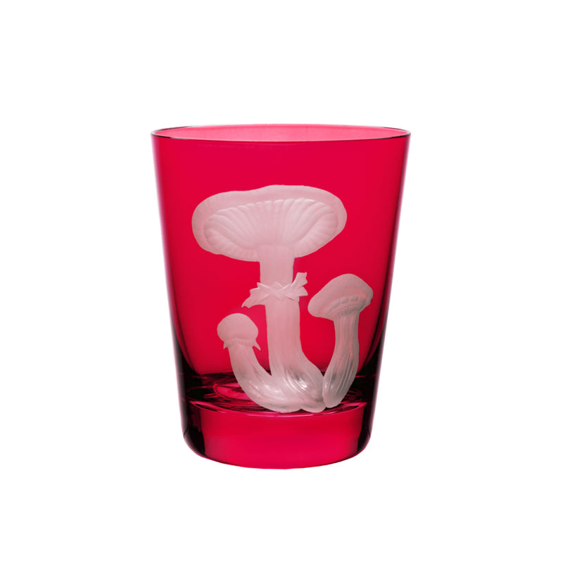 Mushrooms Honey Fungus