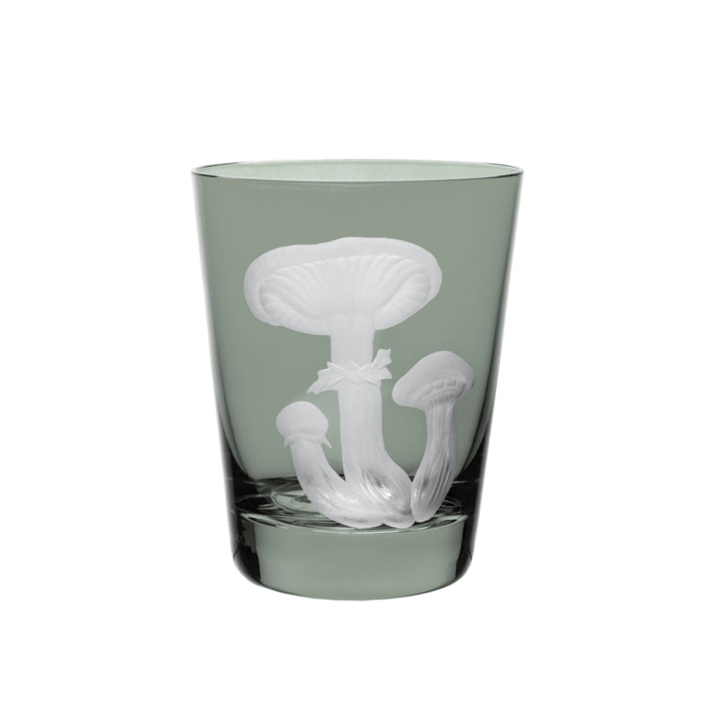 Mushrooms Honey Fungus