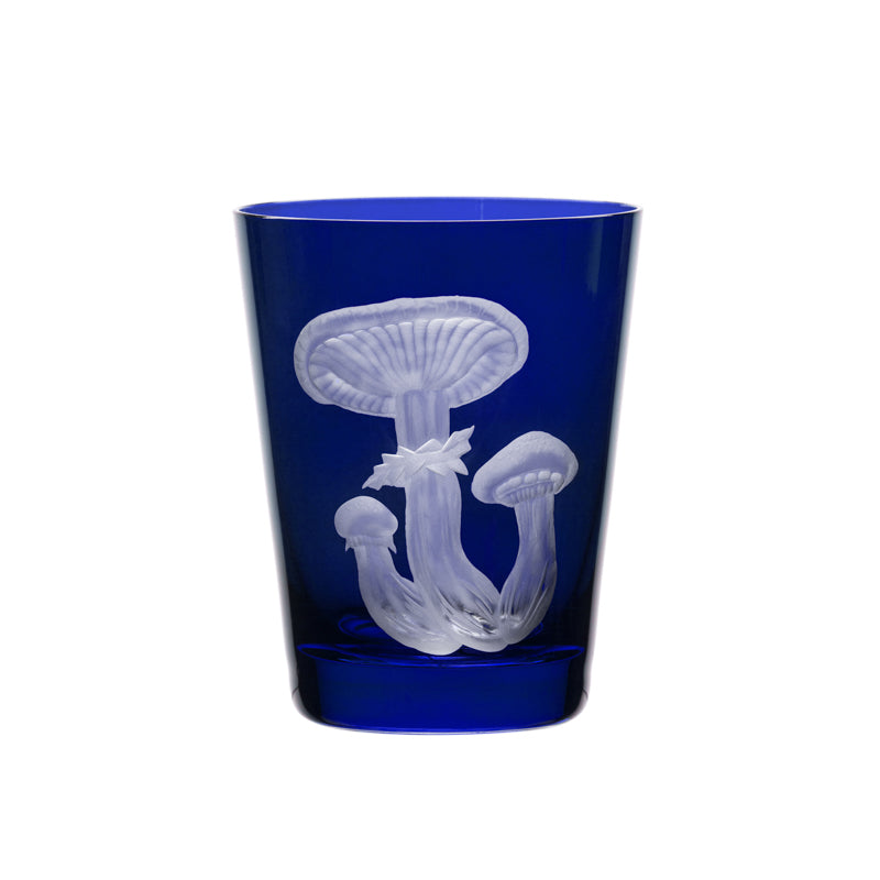 Mushrooms Honey Fungus