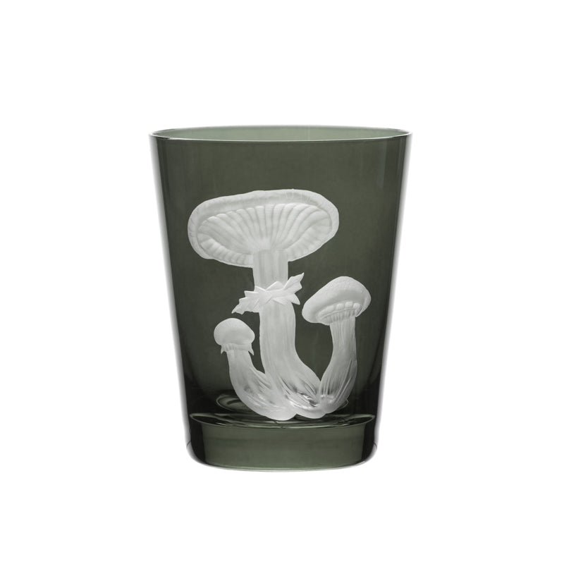 Mushrooms Honey Fungus