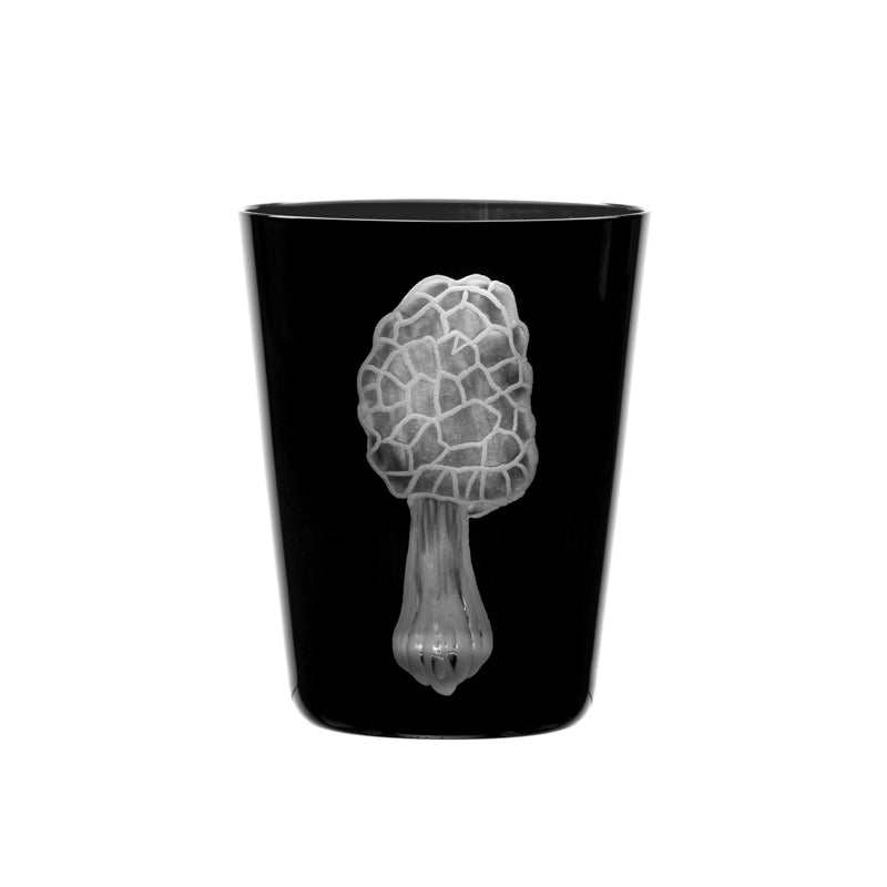 Mushrooms Morel