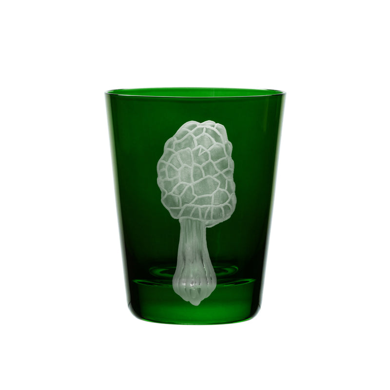 Mushrooms Morel