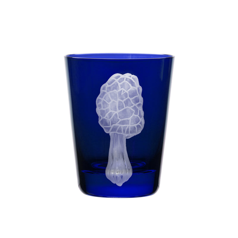 Mushrooms Morel