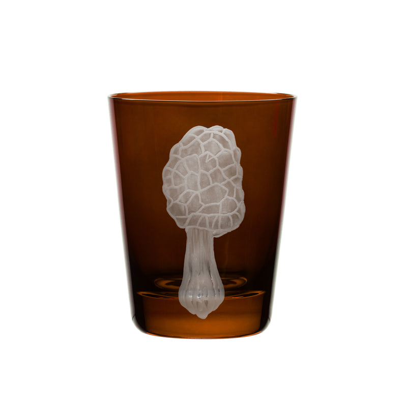 Mushrooms Morel