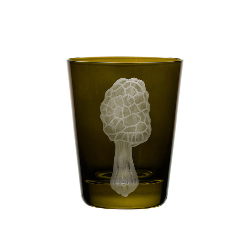 Mushrooms Morel