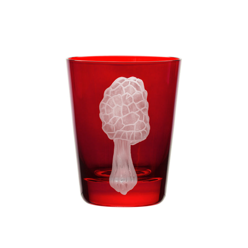 Mushrooms Morel