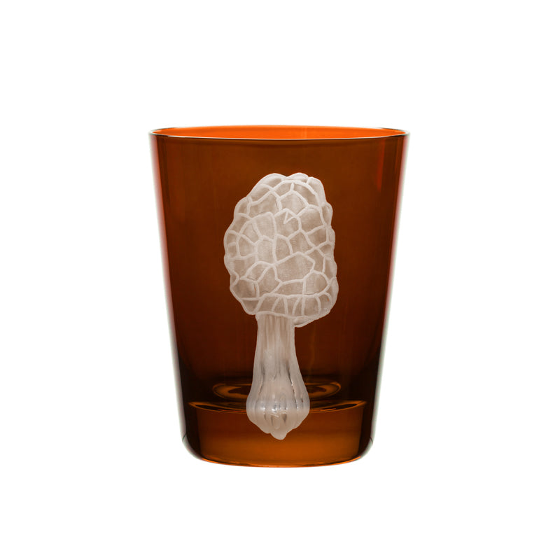 Mushrooms Morel