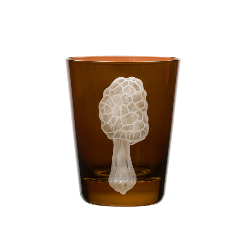 Mushrooms Morel