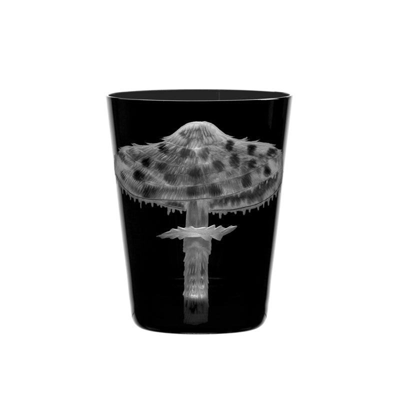 Mushrooms Parasol