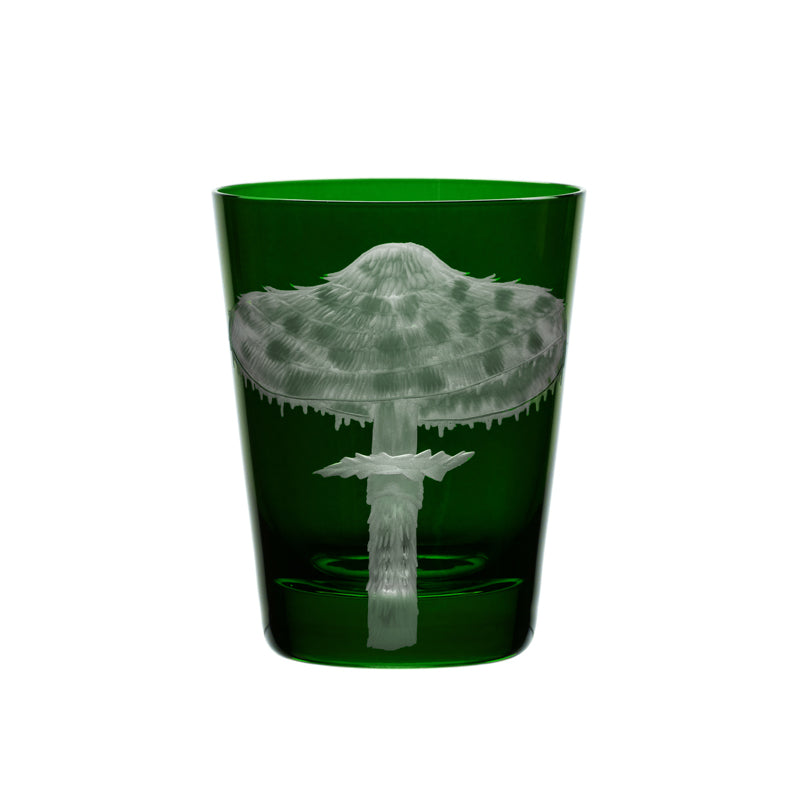 Mushrooms Parasol