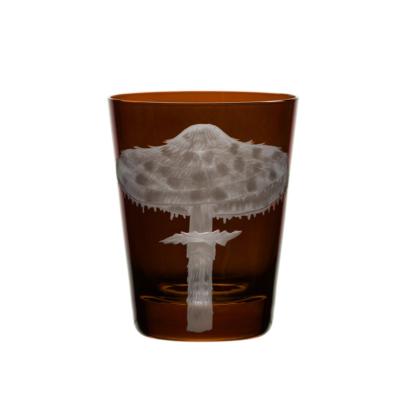 Mushrooms Parasol
