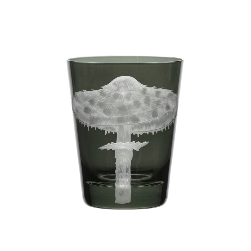 Mushrooms Parasol