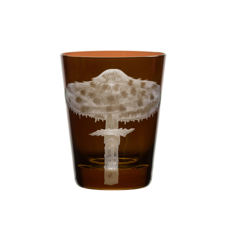 Mushrooms Parasol
