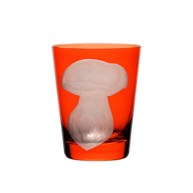 Mushrooms Summer Cep