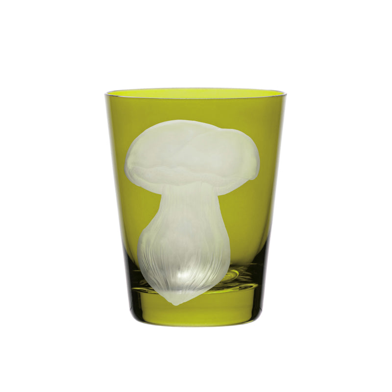 Mushrooms Summer Cep