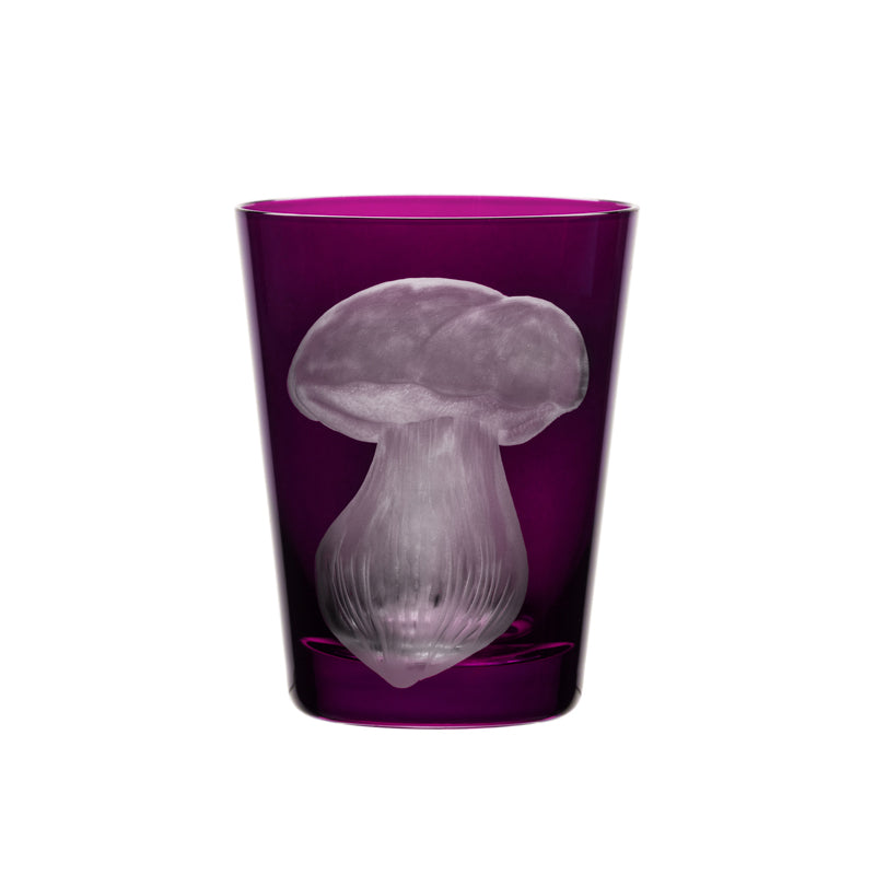 Mushrooms Summer Cep