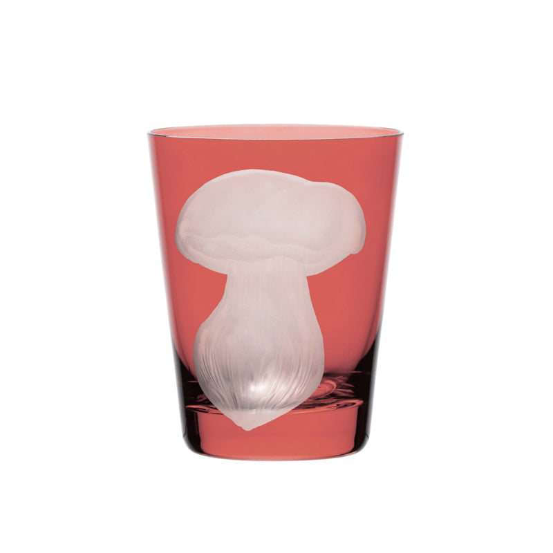 Mushrooms Summer Cep