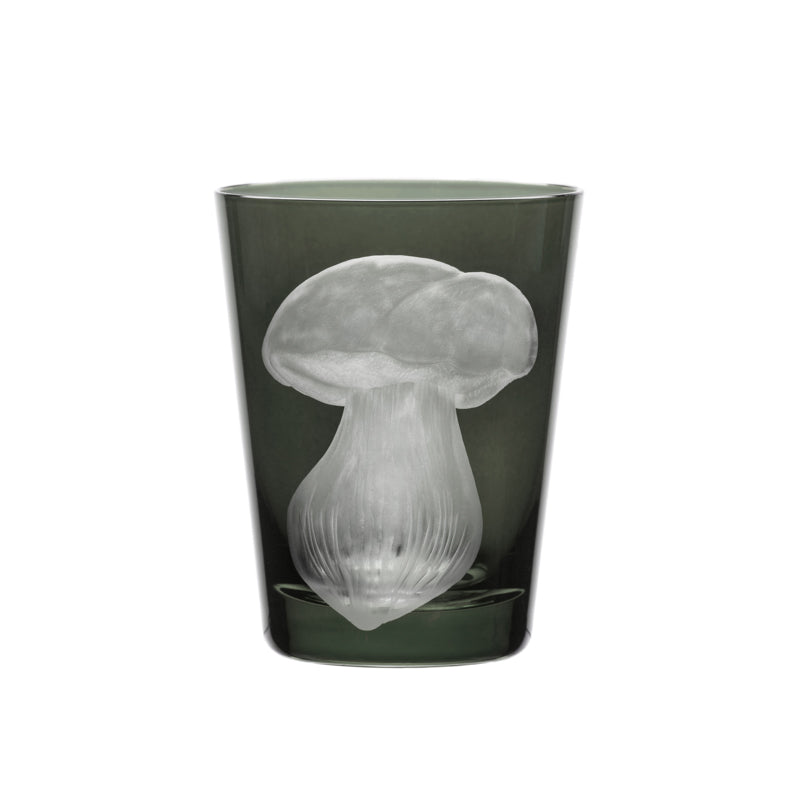 Mushrooms Summer Cep