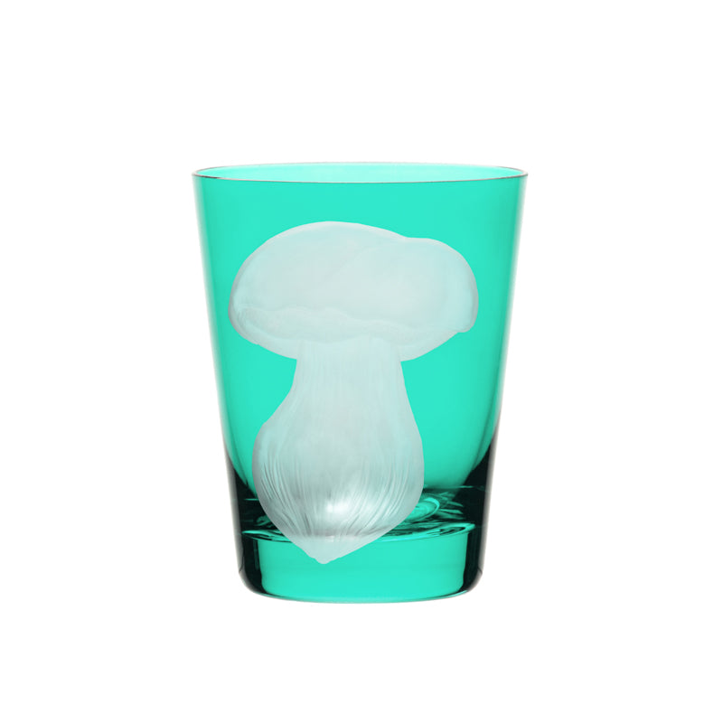 Mushrooms Summer Cep