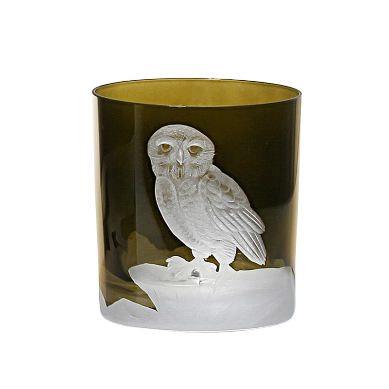 Arctic Snow Owl