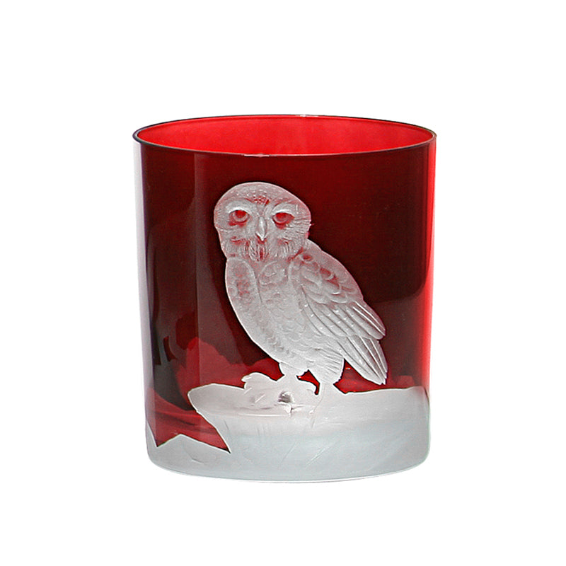 Arctic Snow Owl