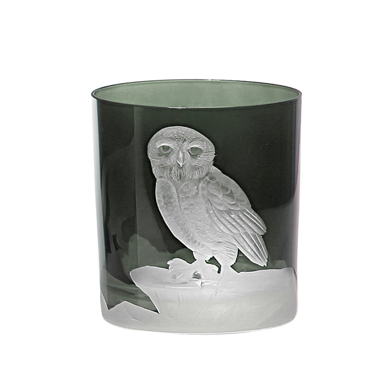 Arctic Snow Owl