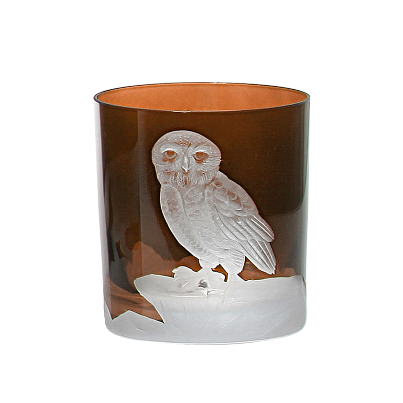 Arctic Snow Owl