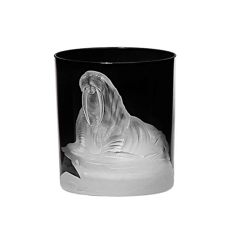 Arctic Walrus