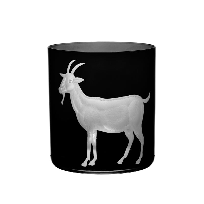 Barnyard Goat
