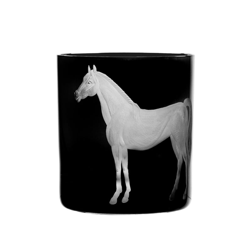Barnyard Horse