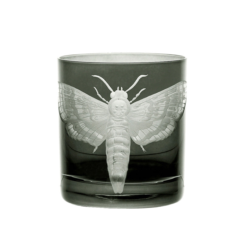 Cabinet of Curiosities Butterfly