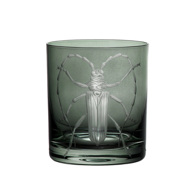 Cabinet of Curiosities Beetle