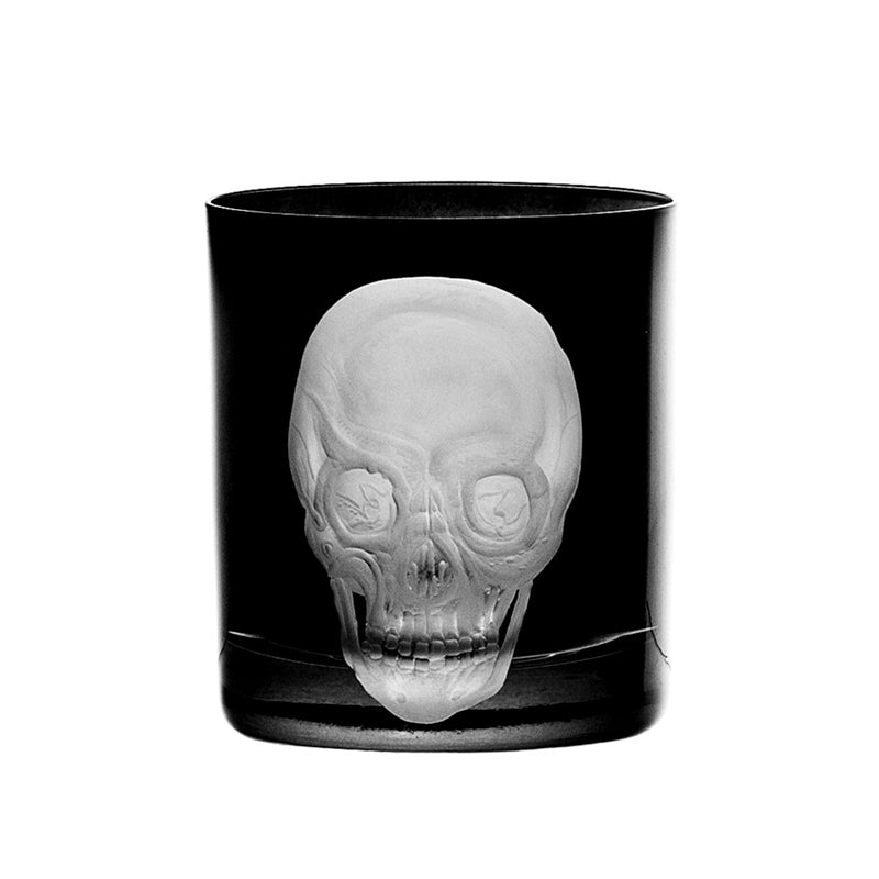 Cabinet of Curiosities Skull