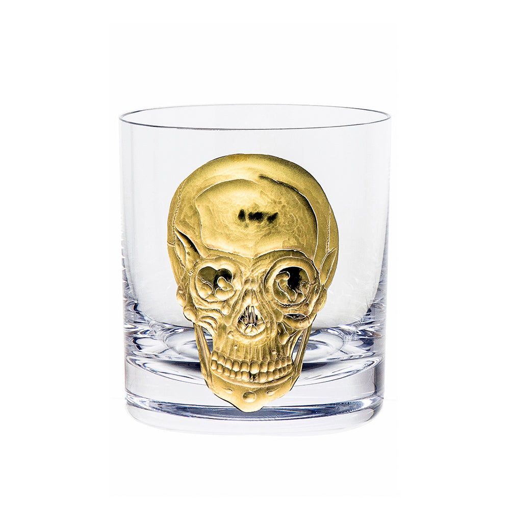 Cabinet of Curiosities Skull