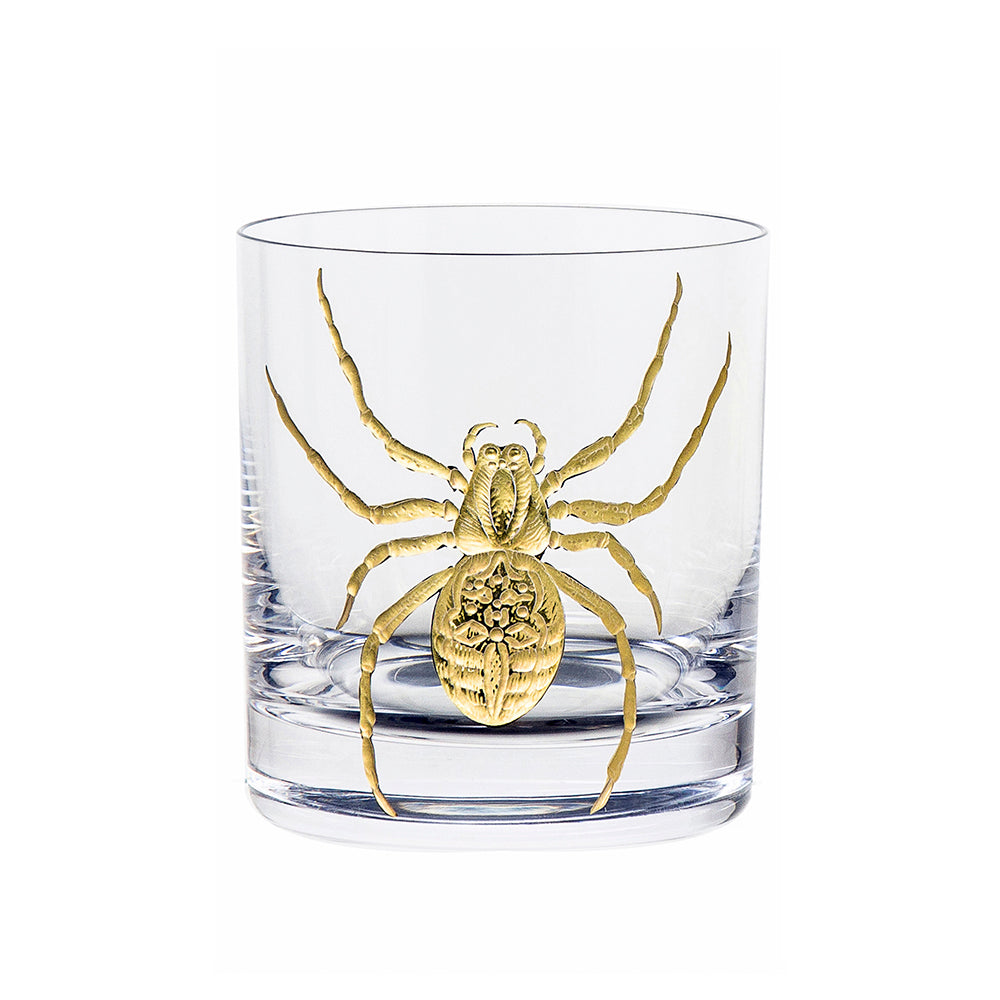 Cabinet of Curiosities Spider