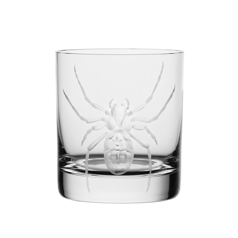 Cabinet of Curiosities Spider