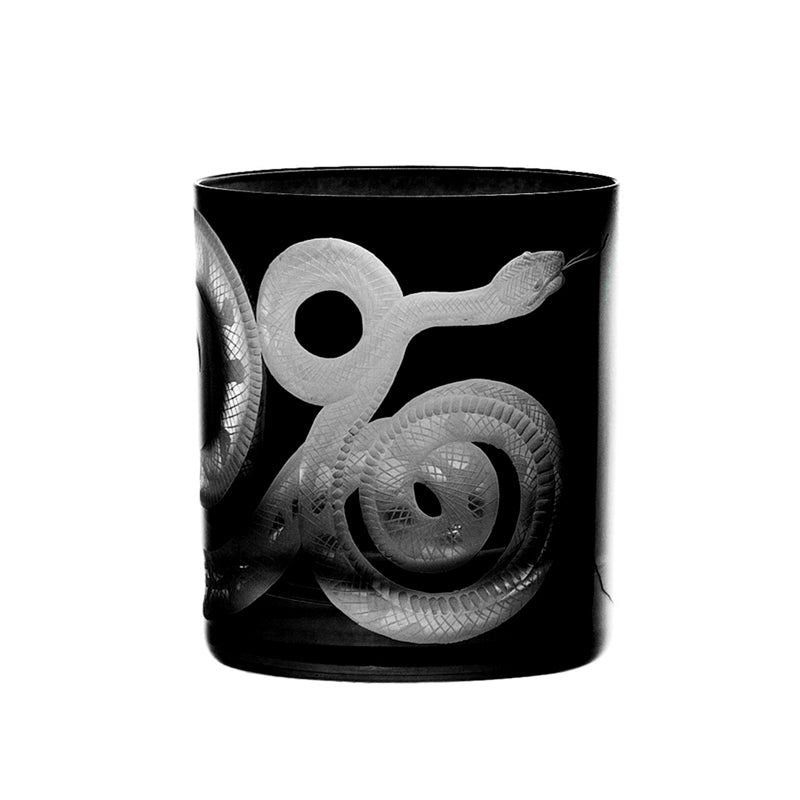 Cabinet of Curiosities Snake