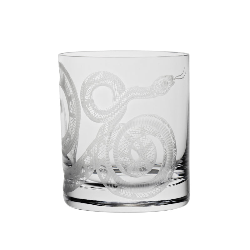 Cabinet of Curiosities Snake