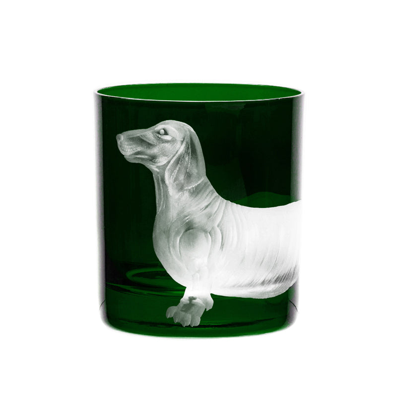 Dog Dachshund
